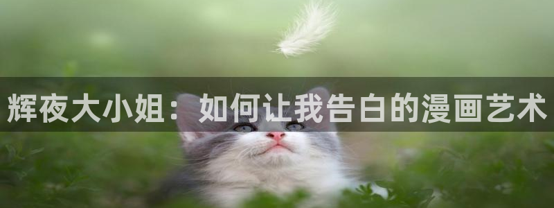 歪歪漫画—汗汗漫画：辉夜大小姐：如何让我告白的漫画艺术
