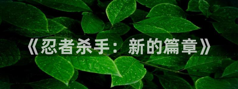 工口汗汗漫画：《忍者杀手：新的篇章》