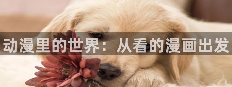 汗汗漫画韩：动漫里的世界：从看的漫画出发